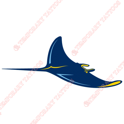 Tampa Bay Rays Customize Temporary Tattoos Stickers NO.1939